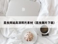 天津昆虫网站高清照片素材（昆虫图片下载）